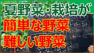 【夏野菜】栽培が簡単な野菜 難しい野菜 家庭菜園 初心者向け [upl. by Anytsirhc]