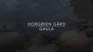 Laksefiske Horgøien 2018 HD [upl. by Ahsiemat]