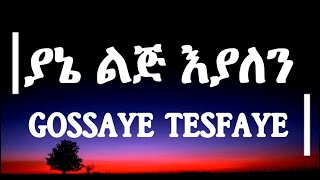 Gossaye Tesfaye – Yane Lij Eyalen  ጎሳዬ ተስፋዬ  ያኔ ልጅ እያለን ሙዚቃ በግጥም Lyrics Video  ፨AmenesoTube [upl. by Lucias]