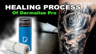 Healling Process of Dermalize Pro [upl. by Almallah717]