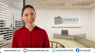 Ferdez Business Consulting  Hacia el éxito empresarial juntos [upl. by Aeneg]