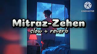 Zehen slow  reverb  lofisong  Mitraz [upl. by Mccowyn88]