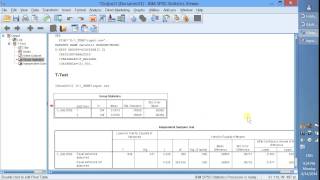 Independent Sample TTest  Phân tích Independent Sample TTest trong SPSS nhóm MBA thực hiện [upl. by Ivey509]