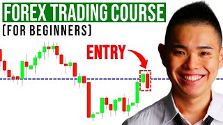 The Ultimate Forex Trading Course For Beginners [upl. by Bell]