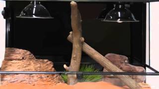 Reptile One  RTF 900 Glass Terrarium [upl. by Yrohcaz]