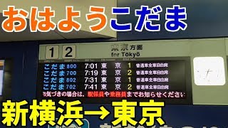 【おはようこだま】上り始発のこだま800号に新横浜→東京で乗車 [upl. by Kliber]