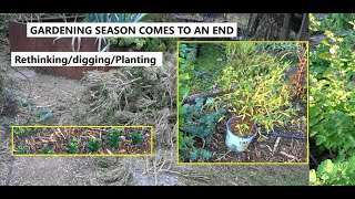 Autumn GardenDigging  Planting  RethinkingAutumn Cleanup [upl. by Shirberg]