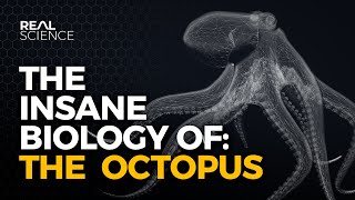 The Insane Biology of The Octopus [upl. by Drolet]