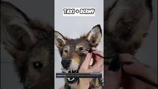 Taxidermy Explained in 60 Seconds [upl. by Drugi]