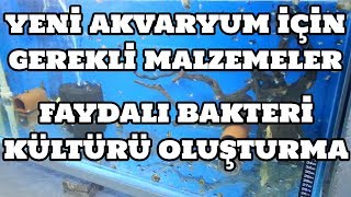 Yeni Akvaryum İçin Gerekli Malzemeler ve Faydalı Bakteri Kültürü Oluşturma [upl. by Aliel]