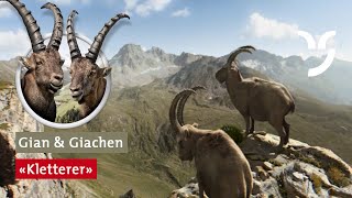 Steinbock Spot quotKlettererquot mit Gian und Giachen [upl. by Aidyn]