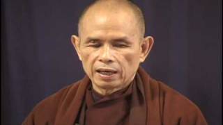 Thich Nhat Hanh compassion and suffering [upl. by Lehteb]