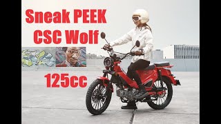 Sneak PEEK NEW 2025 CSC Wolf 125 Town and Trail Motorcycle [upl. by Kcolttam574]