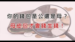 你知道你的「錢包是公還是母」？ 只有「母錢包」才會錢生錢 [upl. by Nibroc]