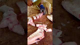 Korukkai fish cutting videofishcuttingrsfish kasimedu fishcuttingrs [upl. by Melena]