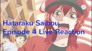 Hataraku Saibou Episode 4 Live Reaction [upl. by Los]