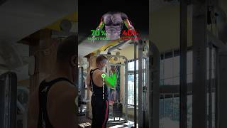 quotBicep Workout Targeting Long Head vs Short Head for Massive Gainsquot [upl. by Jeannine]