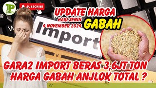 HARGA GABAH HARI INI ANJLOK GARA2 IMPORT BERAS PEMERINTAH  STOPIMPORBERAS [upl. by Iaoh786]