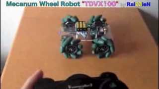 Mecanum Wheel Robot quotTDVX100quot [upl. by Rumilly]