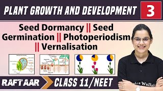 Plant Growth and Development 03  Seed Dormancy  Seed Germination  Class11NEET RAFTAAR [upl. by Irual902]