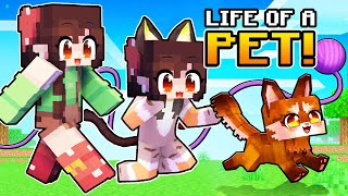 BEST of Having a PET LIFE in Minecraft  Tagalog [upl. by Shreeves979]