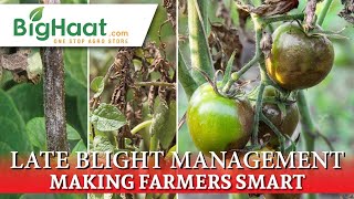 Late Blight Disease Management in Tomato amp Potato Crops  BigHaat [upl. by Eittak]