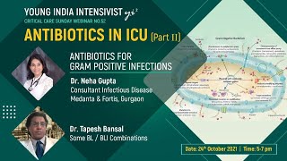 antibiotics icu  gram positive  Dr Neha Gupta  ID  ceftz avi ceftrio sulb edta T Bansal [upl. by Marigolde56]