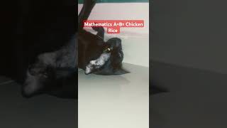 🌹Mathematics AB Chicken Rice🌹 [upl. by Pirali114]