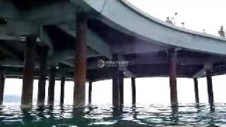 Jumping off lorne pier [upl. by Urial]