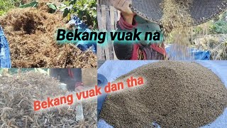 Bekang vuak na alo van hrehawm reuh ve aw [upl. by Yecac]