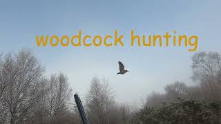 WOODCOCK HUNTING [upl. by Hasina]