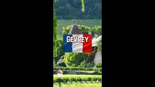 Whats it like to work at one of the worlds best wine houses Gevrey Chambertin [upl. by Idorb921]