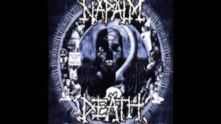 Napalm Death  Puritanical Punishment Beating [upl. by Shoshana326]