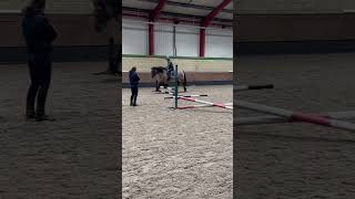 Nice approach HORRIBLE jump😭😭😭😭 horse pony equestrianriding equestrian  horse [upl. by Morville]