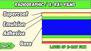 Radiographic  x Ray films l construction layers composition l Radiography simplified l [upl. by Gnen]