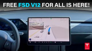 I finally got FREE Tesla FSD v12321 Full SelfDriving for 1 Month  NerveRacking FSD Test [upl. by Fahey448]