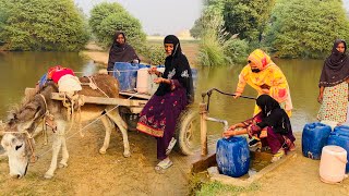 Kaisy Chala Leti Hen Ye DonkeyAj Pehli Bar DekhaAao Madad Karen [upl. by Lrac]