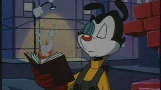 Animaniacs Slide Show  Acquaintances [upl. by Noreen182]