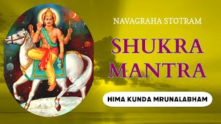 Shukra Mantra  Navagraha Stotram  Hima kunda mrunalabham  Stotra to remove negativity [upl. by Benjie415]