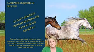 HOW TO TELL IF A LAMENESS IS WEIGHT BEARING OR NONWEIGHT BEARING Pain Vs MechanicalPhysical [upl. by Eladnar707]