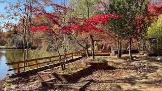 Buddhist temple in NY state [upl. by Primaveria]