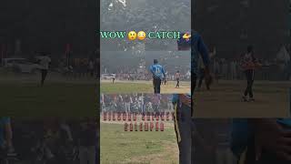 कैच ऑफ मैच आईपीएल2023 cricket cricketing cricketlover [upl. by Dryfoos67]