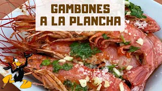 Gambones a la Plancha con Ajo y Perejil 🦐 ¡RECETA CON GAMBONES [upl. by Schmitt]