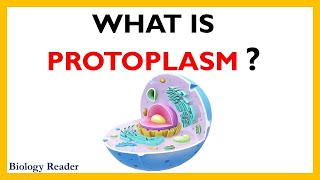 Protoplasm  Definition Diagrams Components Properties and Functions [upl. by Andrea328]