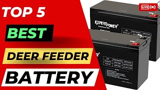 Top 5 Deer Feeder Battery  best 6 volt rechargeable battery for deer feeder [upl. by Anoynek]