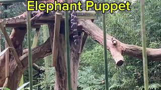 Elephant puppets jaguar update 🐆 [upl. by Peer]