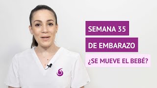 ¿El bebé se mueve mucho en la semana 35 de embarazo [upl. by Retsbew919]