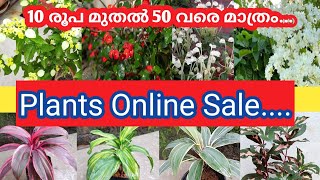 Plants Online SaleRs 10 to 50 Watsapp 8078209295 [upl. by Emalee]