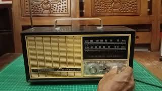 RADIO TELESONIC NT 802 [upl. by Etz]