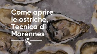 Come aprire le ostriche tecnica di Marennes  How to open oysters the Marennes Technique [upl. by Suk]